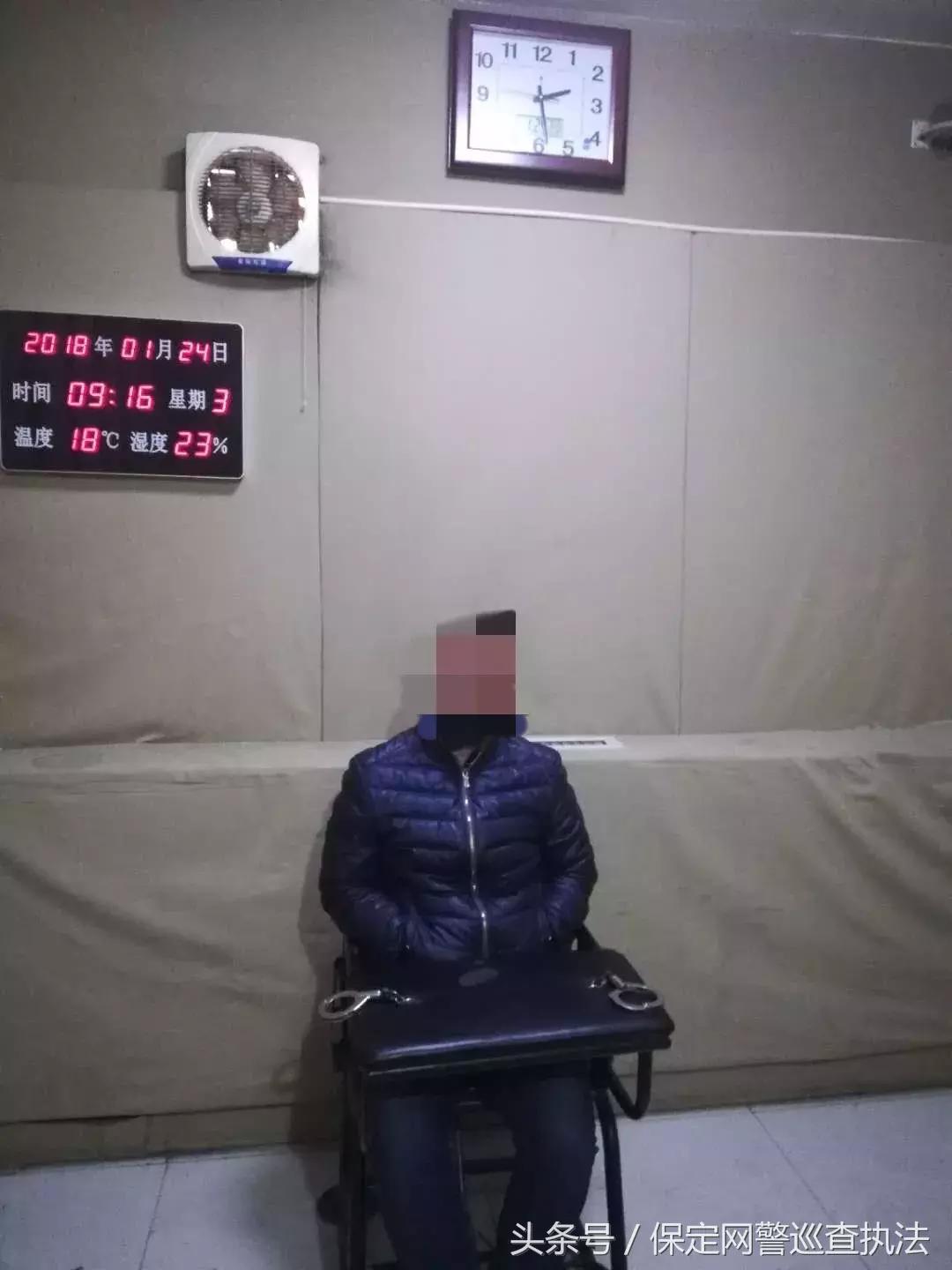 信息辨别，在权威平台数据中寻找真相